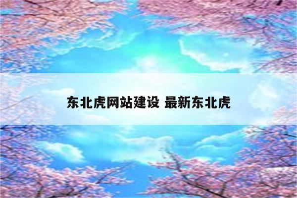 东北虎网站建设 最新东北虎