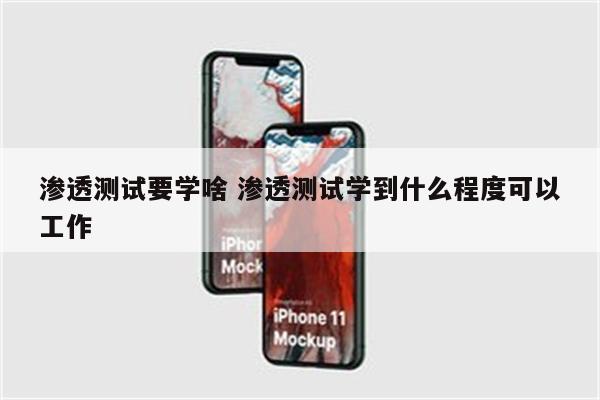 渗透测试要学啥 渗透测试学到什么程度可以工作