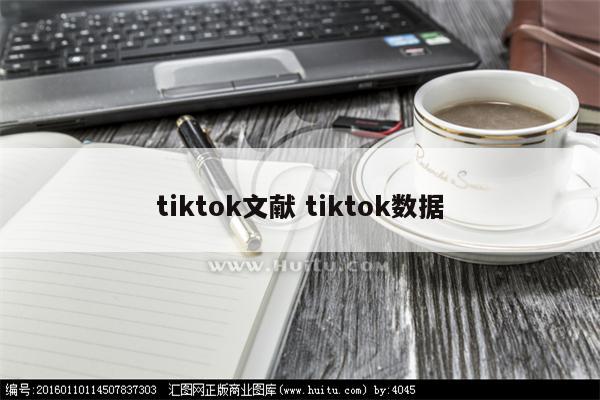 tiktok文献 tiktok数据