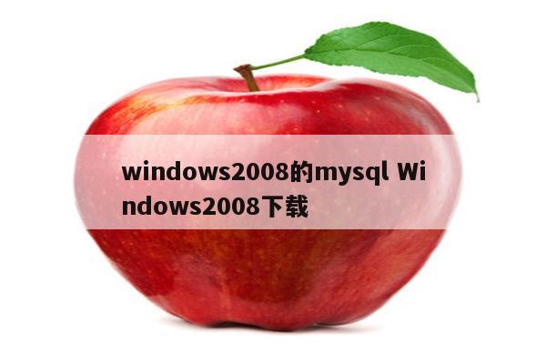 windows2008的mysql Windows2008下载