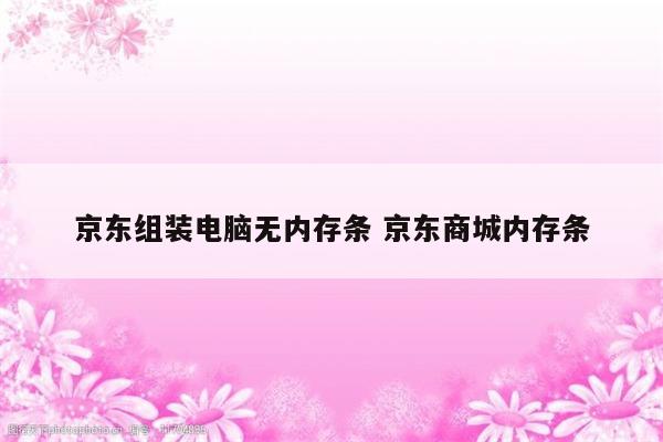 京东组装电脑无内存条 京东商城内存条