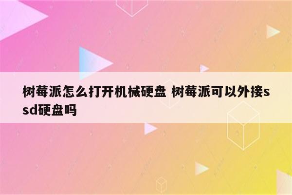 树莓派怎么打开机械硬盘 树莓派可以外接ssd硬盘吗