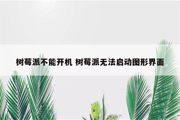 树莓派不能开机 树莓派无法启动图形界面