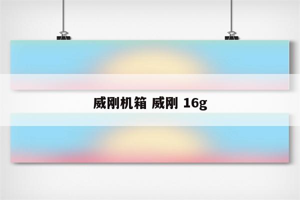 威刚机箱 威刚 16g