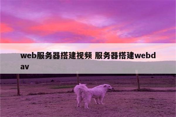 web服务器搭建视频 服务器搭建webdav