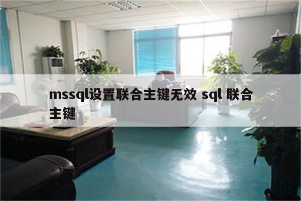 mssql设置联合主键无效 sql 联合主键