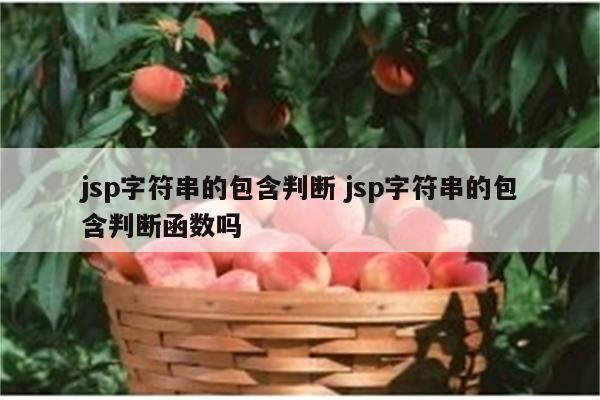 jsp字符串的包含判断 jsp字符串的包含判断函数吗