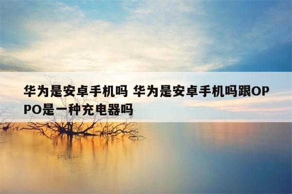 华为是安卓手机吗 华为是安卓手机吗跟OPPO是一种充电器吗