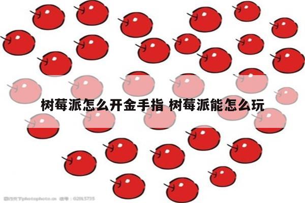 树莓派怎么开金手指 树莓派能怎么玩