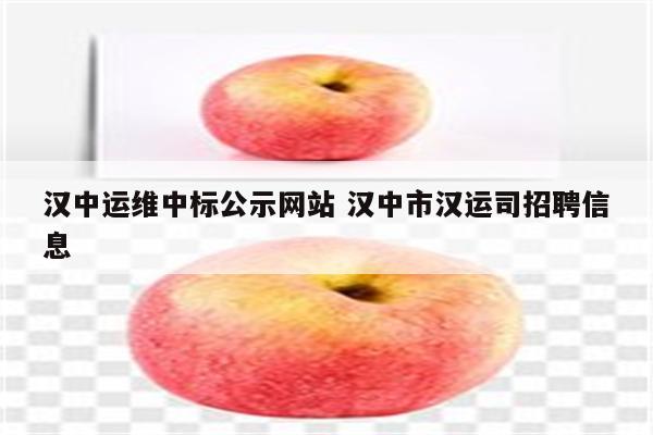 汉中运维中标公示网站 汉中市汉运司招聘信息