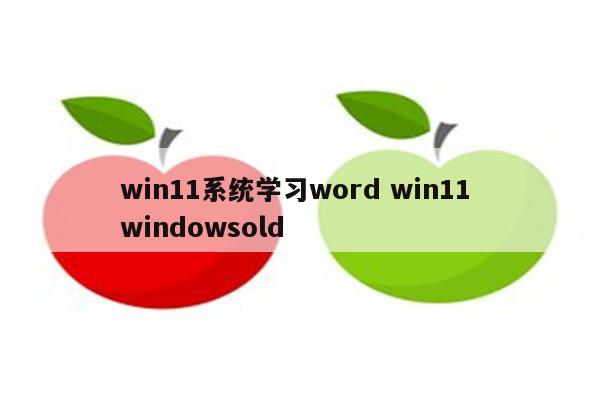win11系统学习word win11 windowsold