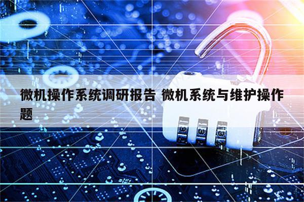 微机操作系统调研报告 微机系统与维护操作题