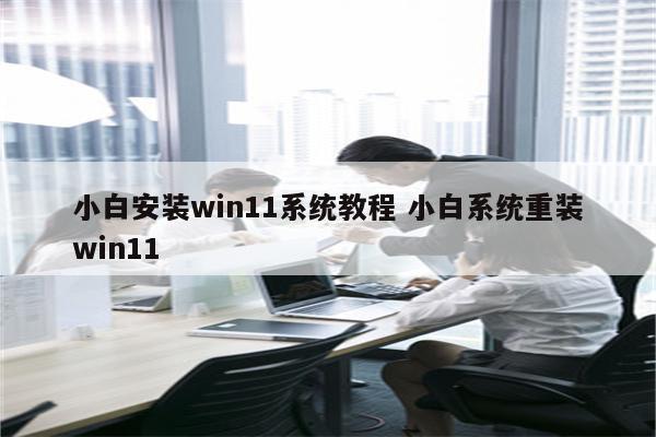 小白安装win11系统教程 小白系统重装win11