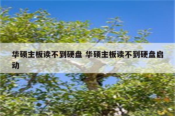 华硕主板读不到硬盘 华硕主板读不到硬盘启动