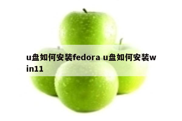 u盘如何安装fedora u盘如何安装win11