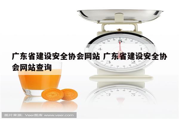 广东省建设安全协会网站 广东省建设安全协会网站查询