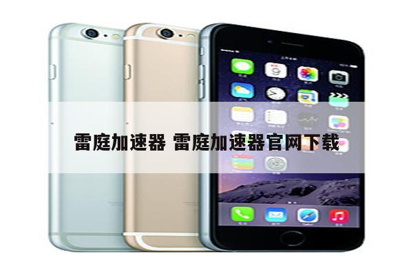 雷庭加速器 雷庭加速器官网下载