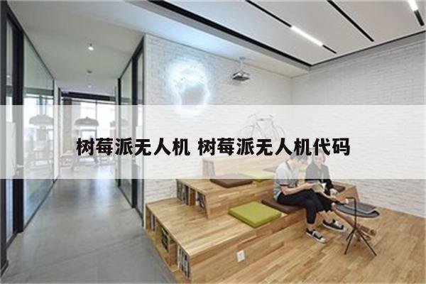 树莓派无人机 树莓派无人机代码