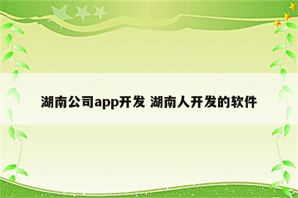 湖南公司app开发 湖南人开发的软件