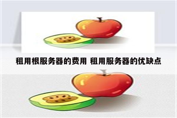 租用根服务器的费用 租用服务器的优缺点