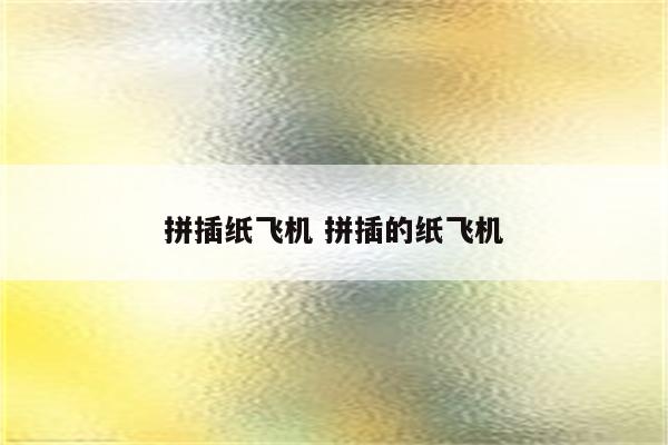 拼插纸飞机 拼插的纸飞机