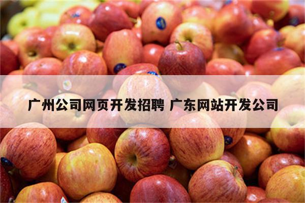 广州公司网页开发招聘 广东网站开发公司