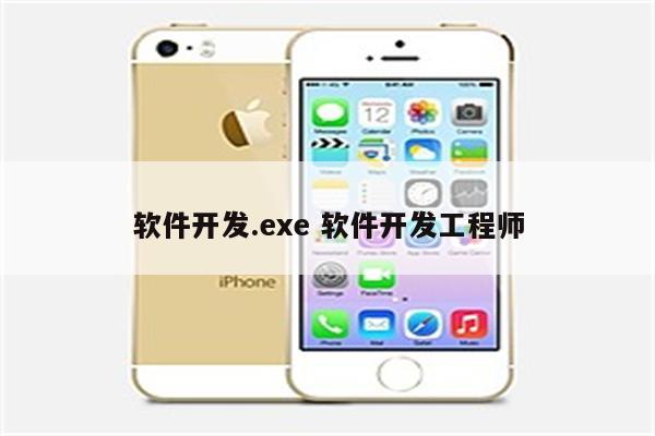软件开发.exe 软件开发工程师