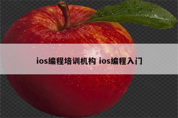 ios编程培训机构 ios编程入门
