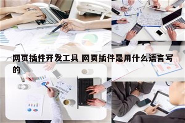 网页插件开发工具 网页插件是用什么语言写的