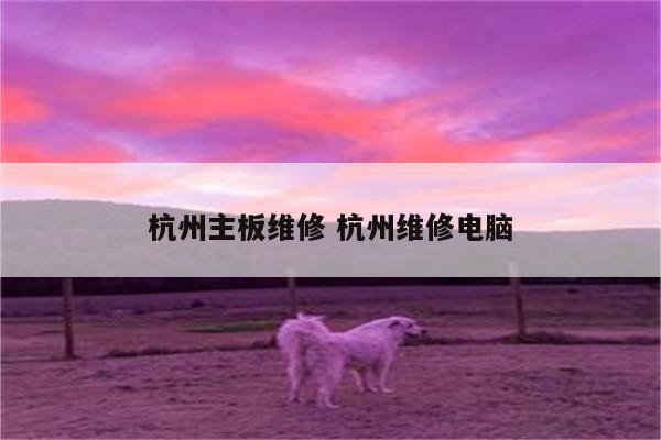 杭州主板维修 杭州维修电脑