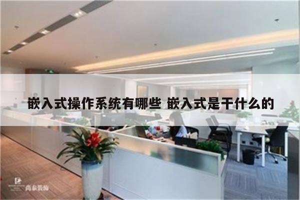 嵌入式操作系统有哪些 嵌入式是干什么的