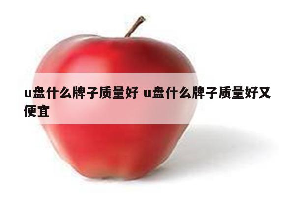 u盘什么牌子质量好 u盘什么牌子质量好又便宜