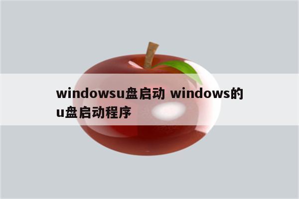 windowsu盘启动 windows的u盘启动程序