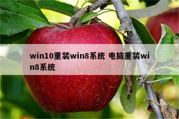 win10重装win8系统 电脑重装win8系统