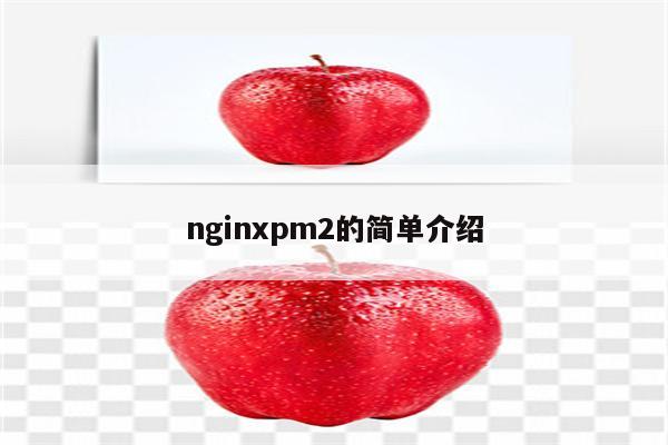 nginxpm2的简单介绍