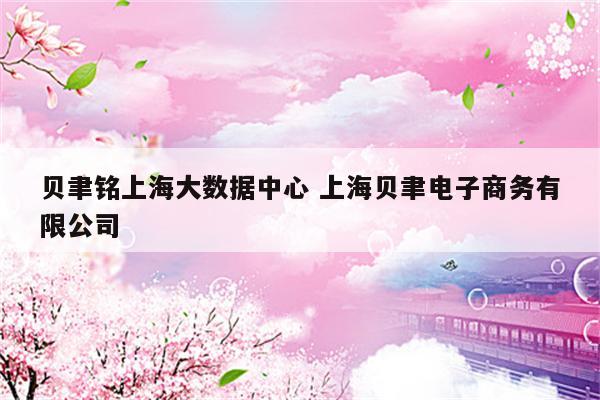 贝聿铭上海大数据中心 上海贝聿电子商务有限公司