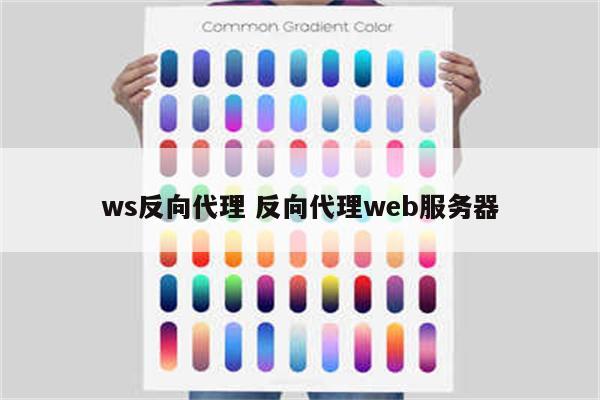 ws反向代理 反向代理web服务器