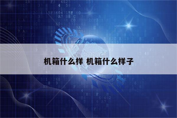 机箱什么样 机箱什么样子