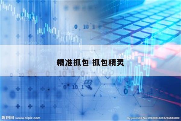 精准抓包 抓包精灵