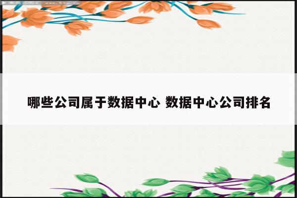 哪些公司属于数据中心 数据中心公司排名