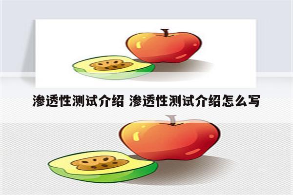 渗透性测试介绍 渗透性测试介绍怎么写