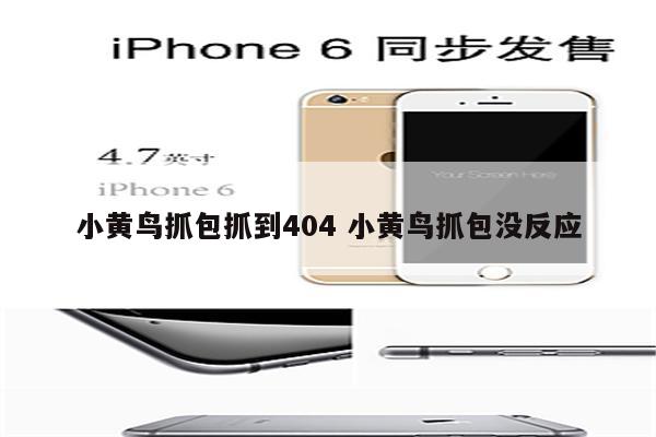 小黄鸟抓包抓到404 小黄鸟抓包没反应