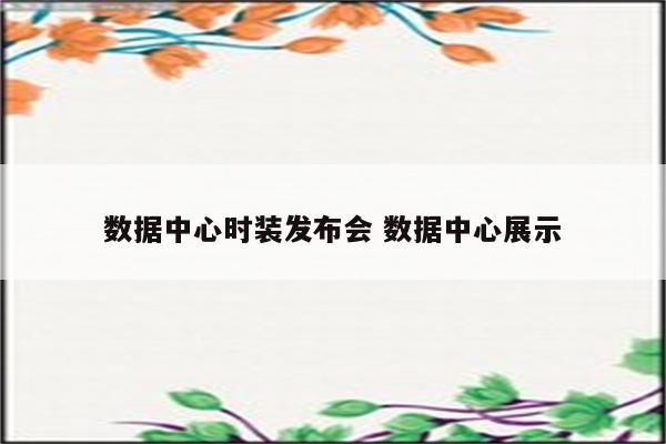 数据中心时装发布会 数据中心展示