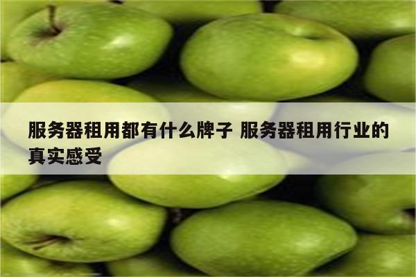 服务器租用都有什么牌子 服务器租用行业的真实感受