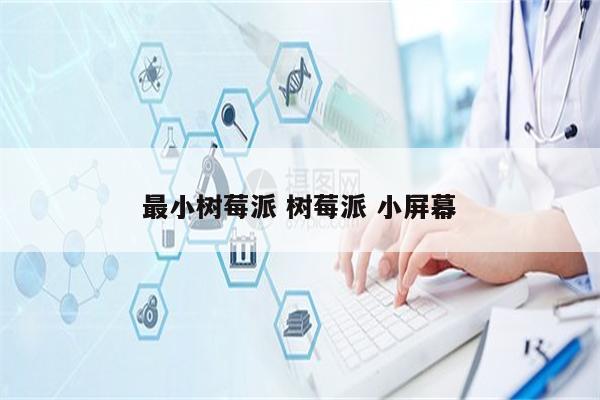 最小树莓派 树莓派 小屏幕