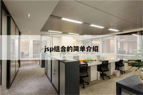 jsp组合的简单介绍