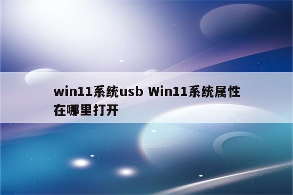 win11系统usb Win11系统属性在哪里打开