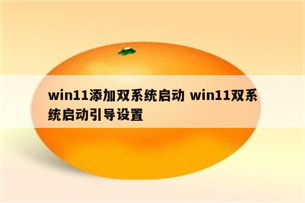 win11添加双系统启动 win11双系统启动引导设置