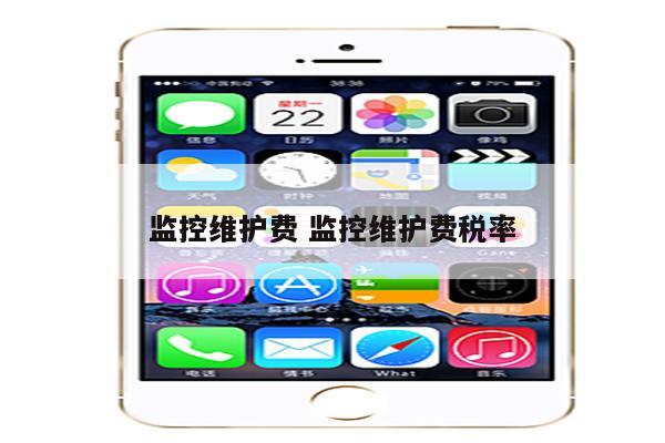 监控维护费 监控维护费税率