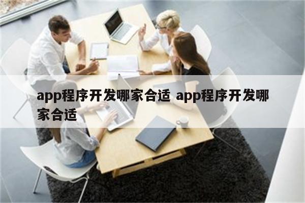 app程序开发哪家合适 app程序开发哪家合适
